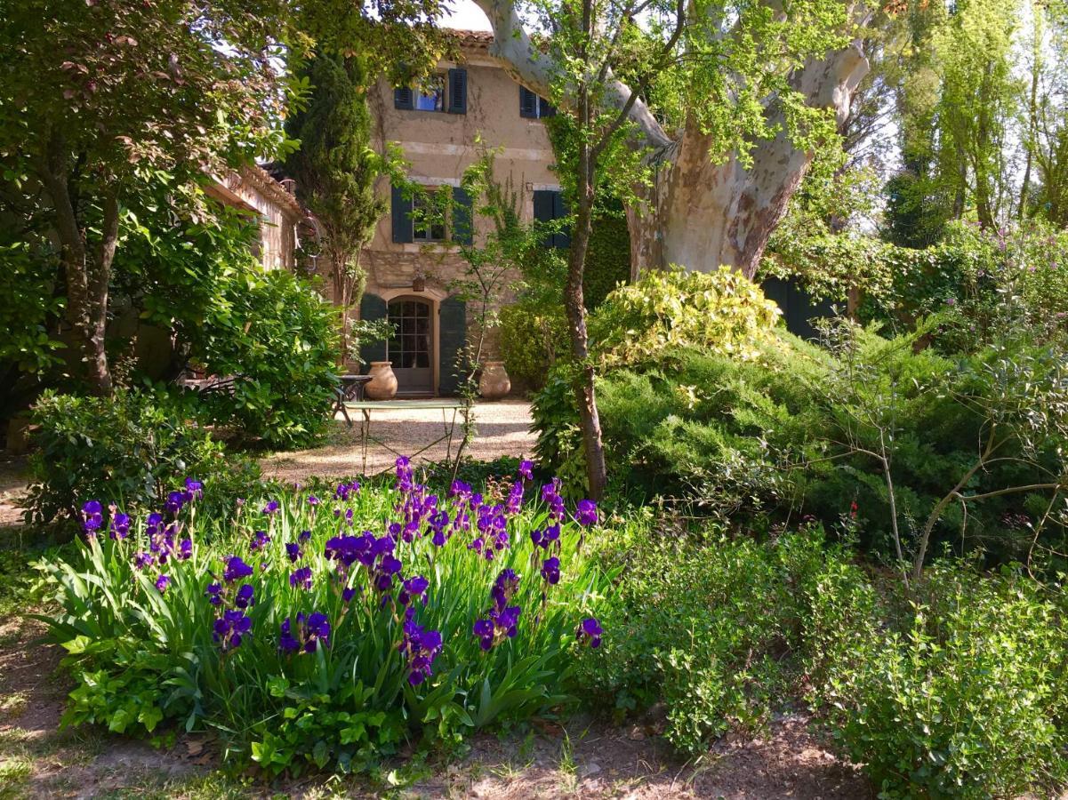 Campagne Baudeloup Bed & Breakfast LʼIsle-sur-la-Sorgue Екстериор снимка