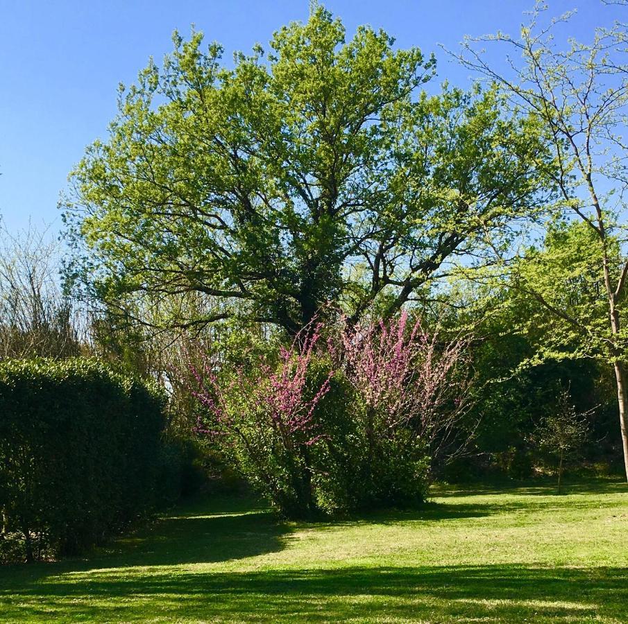 Campagne Baudeloup Bed & Breakfast LʼIsle-sur-la-Sorgue Екстериор снимка