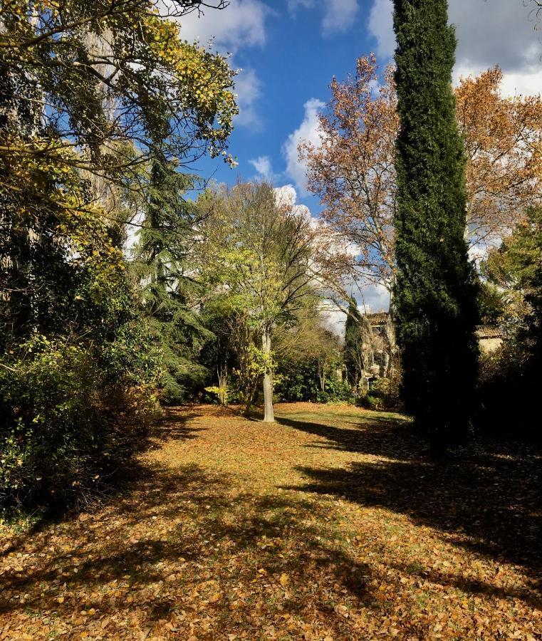 Campagne Baudeloup Bed & Breakfast LʼIsle-sur-la-Sorgue Екстериор снимка